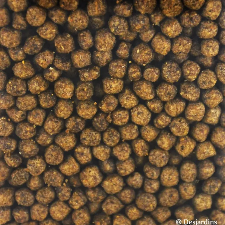 Aliment tortue eau croissance 212g - ZOOMED