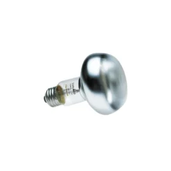 Ampoule chauffante Zoo Med - 60W