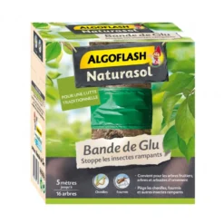 Bande glu 5m - ALGOFLASH