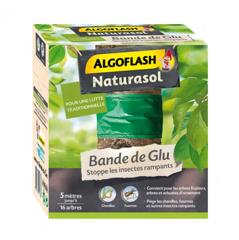 Bande glu 5m - ALGOFLASH