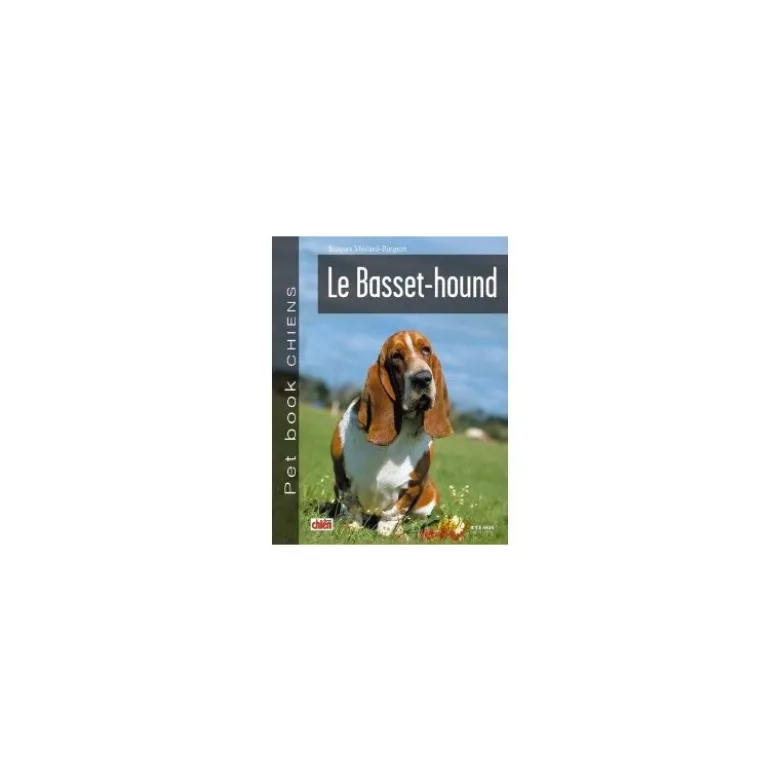 Basset Hound