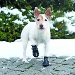 Bottes de protection Walker active XS–S-2pcs noi - TRIXIE
