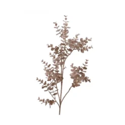 Branche eucalyptus 23x11x72 champagne - EVERLANDS