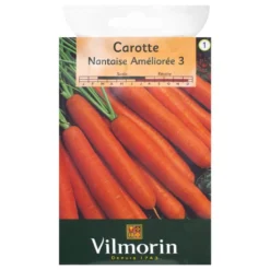 Carotte Nantaise Améliorée 3
