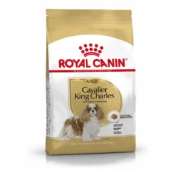 Cavalier King Charles Adult bhn 3kg - ROYAL CANIN