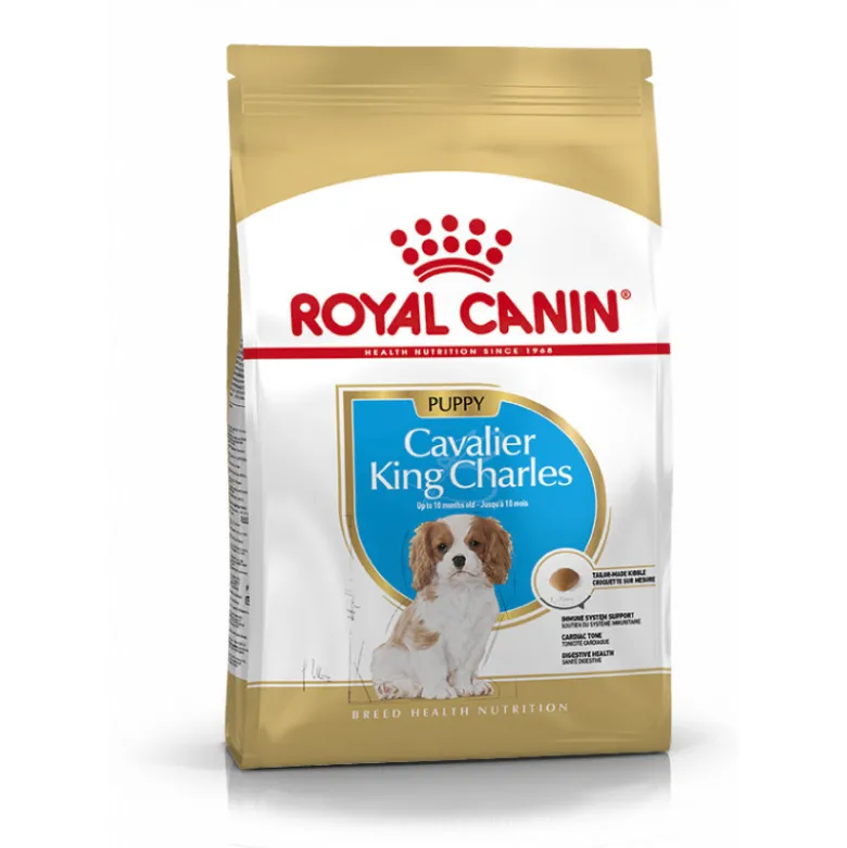 Cavalier King Charles junior bhn 1.5kg - ROYAL CANIN