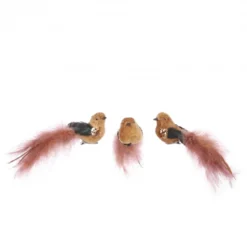 Clip oiseau 3 pièces 4.5x18-H5.5 marron - EDELMAN