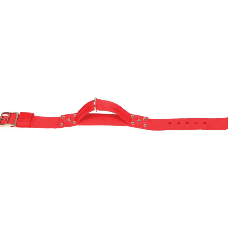 Collier nylon poignee t75 - ZOLUX