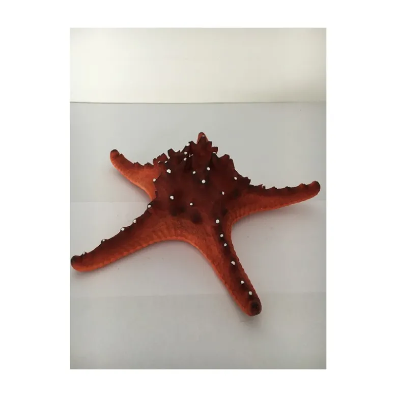 Décor d'aquarium - Etoile de mer