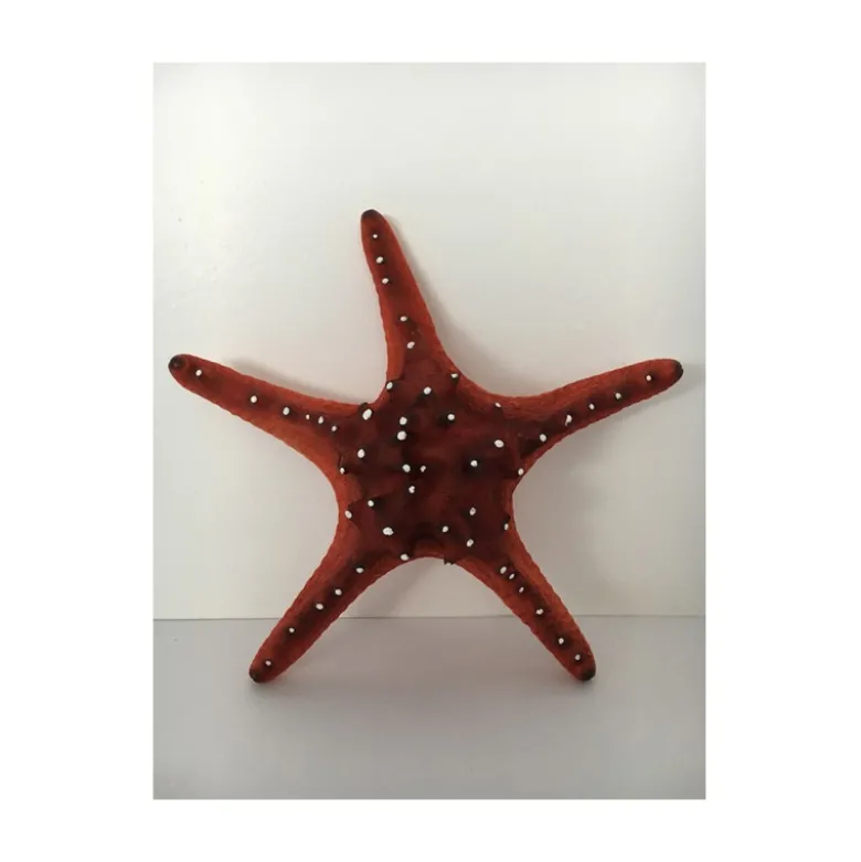 Décor d'aquarium - Etoile de mer