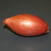 Echalote "Longor" 500g - Calibre 15/35
