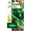 Epinards géantsbio d'hiver