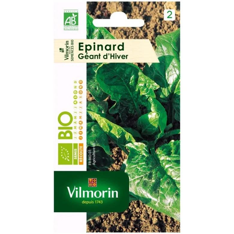 Epinards géantsbio d'hiver