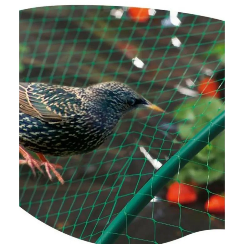 Filet oiseau birdnet 2x10m vert - NORTENE