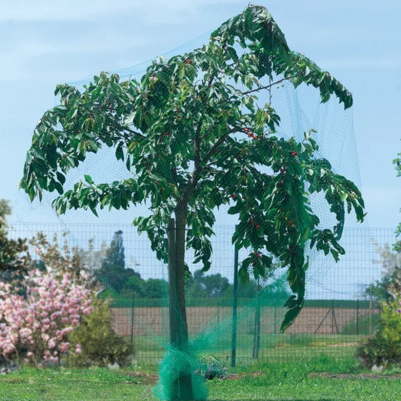 Filet oiseau birdnet 2x10m vert - NORTENE