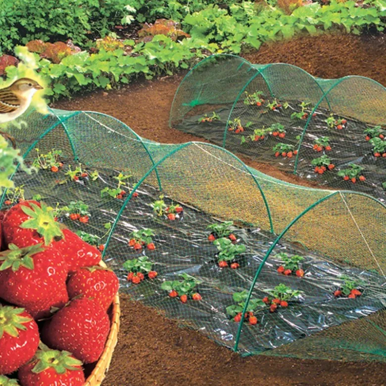 Filet oiseau birdnet 5x10m vert - NORTENE
