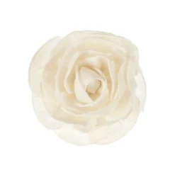 Fleur de Goatier pm rosea - GOA
