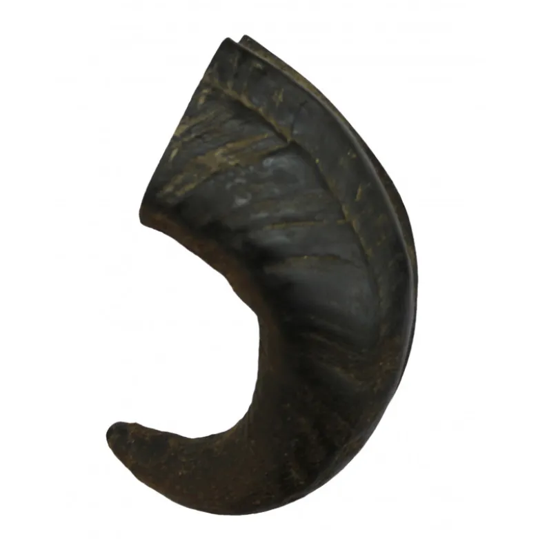 Friandise corne de Buffle M - BUBIMEX