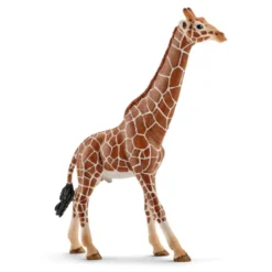 Girafe mâle h13.8 - SCHLEICH