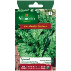 Gros épinard Vilmorin monstrueux de Viroflay