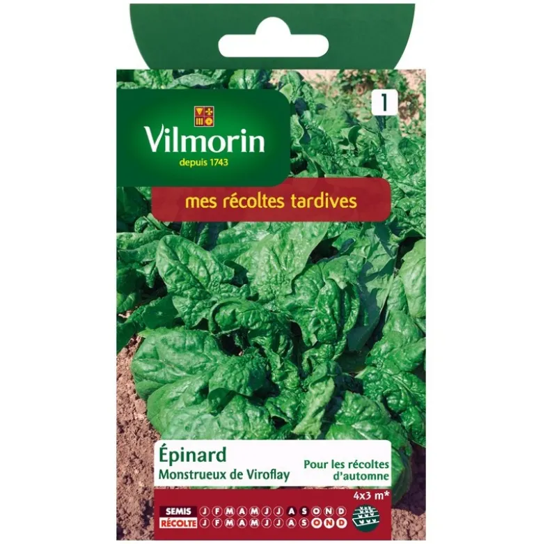 Gros épinard Vilmorin monstrueux de Viroflay