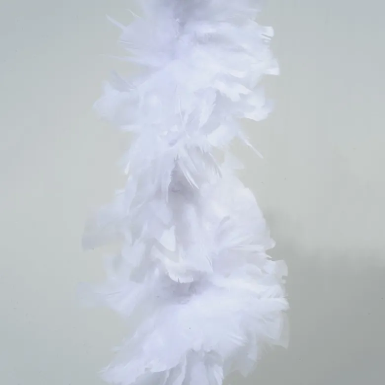 Guirlande boa plumes 12x184cm blanc - DECORIS