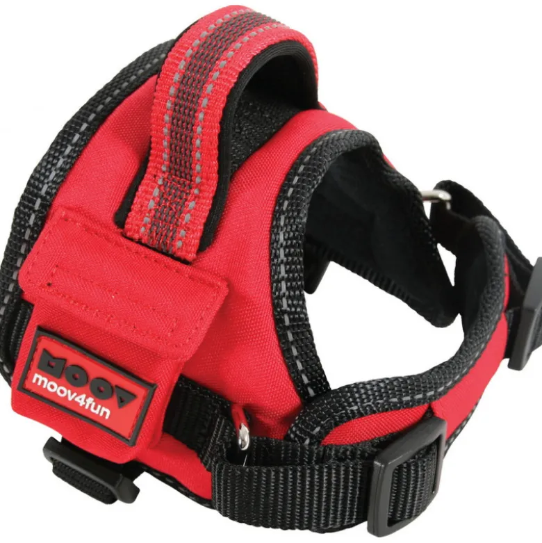 Harnais confort reglable xs moov - ZOLUX