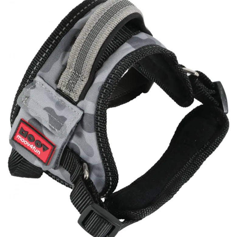 Harnais conf reglable xs moov gris - ZOLUX