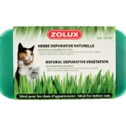 Herbe a chat - ZOLUX