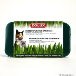 Herbe a chat - ZOLUX