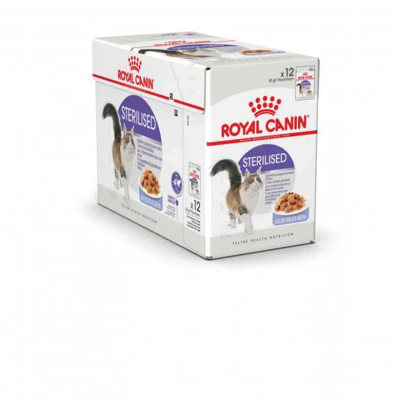 Humide chat sterilised gelée FHN wet 12x85g - ROYAL CANIN