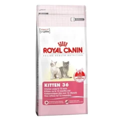 Kitten féline health nutrition 400g - ROYAL CANIN