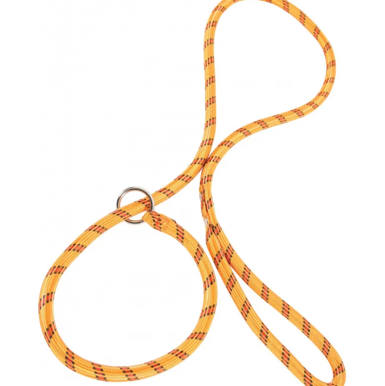 Laisse nylon lasso orange - ZOLUX