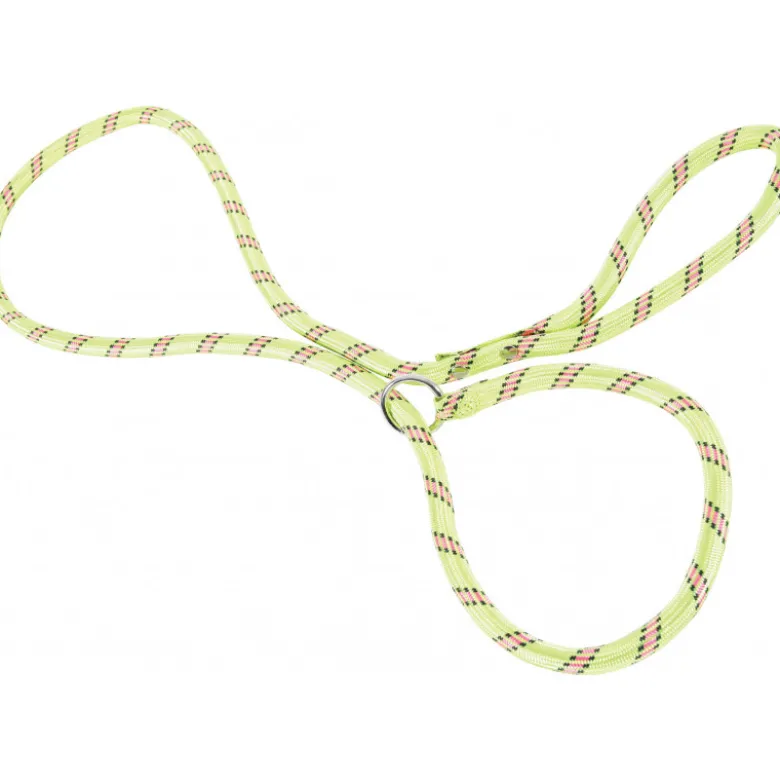Laisse nylon lasso vert anis - ZOLUX