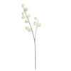 Lanterne chinois 12x94-H4 crème - EDELMAN