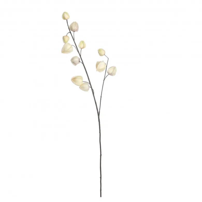 Lanterne chinois 12x94-H4 crème - EDELMAN