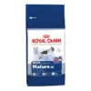 Maxi Adult5+ size health nutrition 15kg - ROYAL CANIN