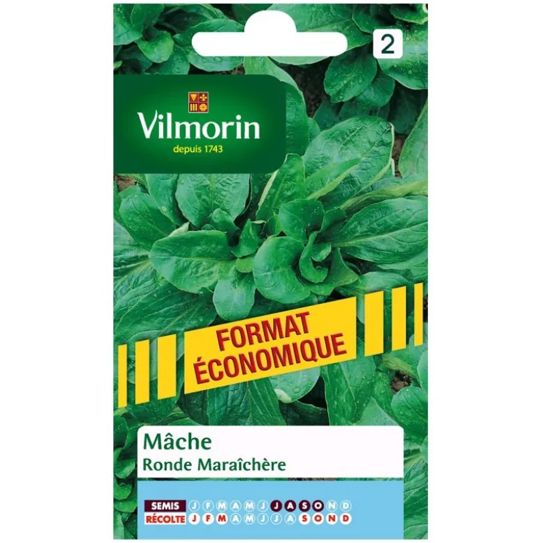 Mâche ronde maraîchère - grand sachet