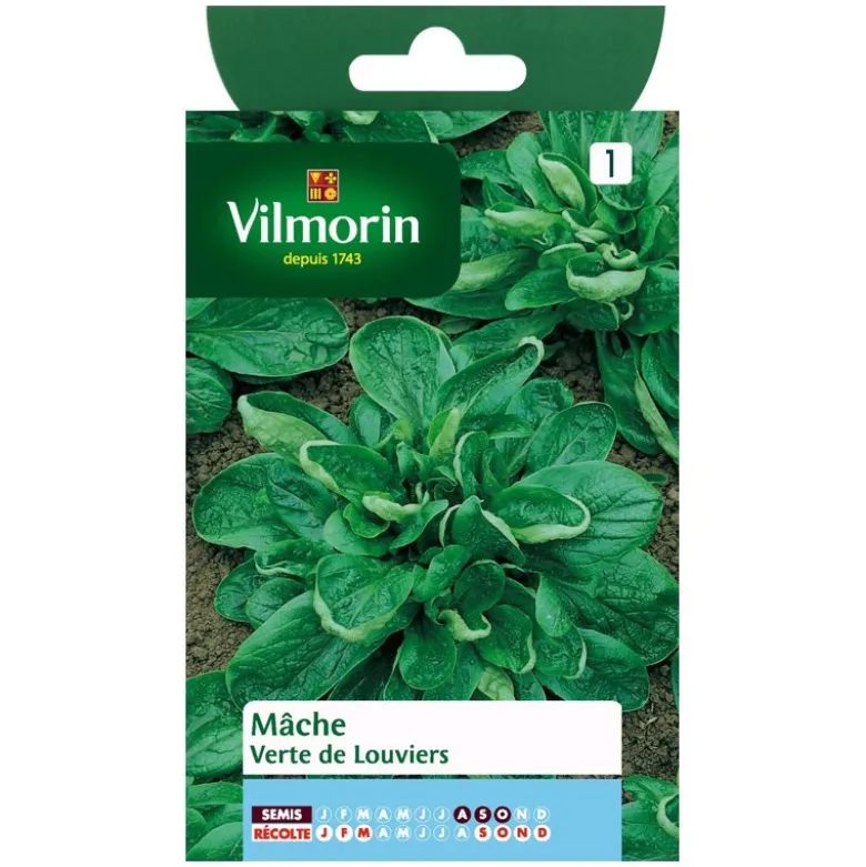 Mâche verte Vilmorin de Louviers