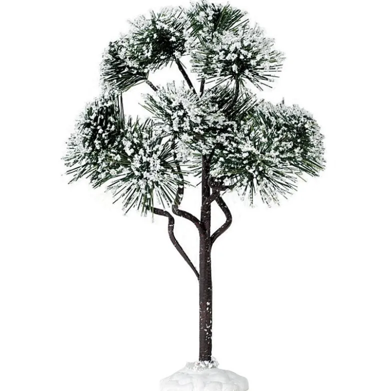 MOUNTAIN PINE LARGE - LEMAX