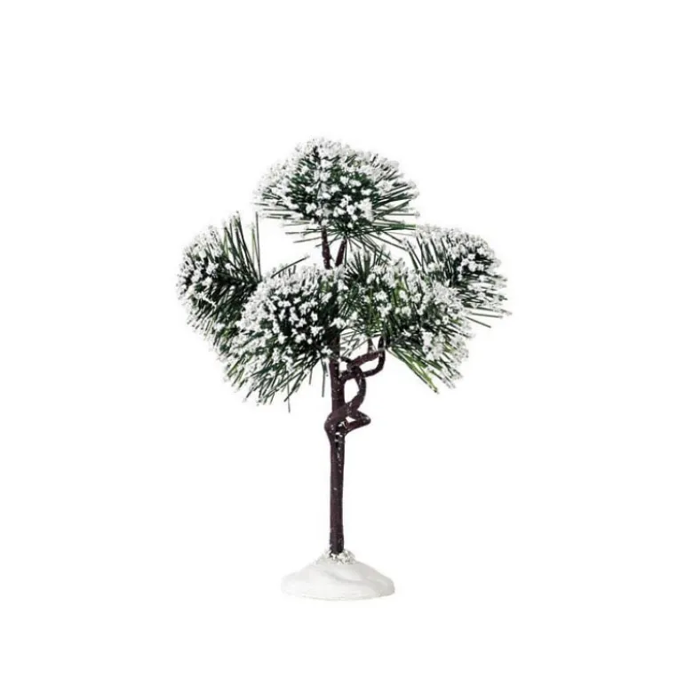 MOUNTAIN PINE MEDIUM - LEMAX