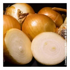 Oignon jaune 1kg - Calibre 8/21