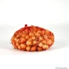 Oignon "Riesen"500g - Calibre 14/21