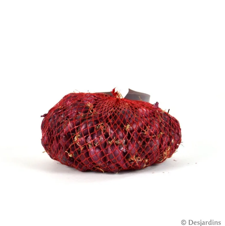 Oignon rouge "Red Baron" 500g - Calibre 14/21