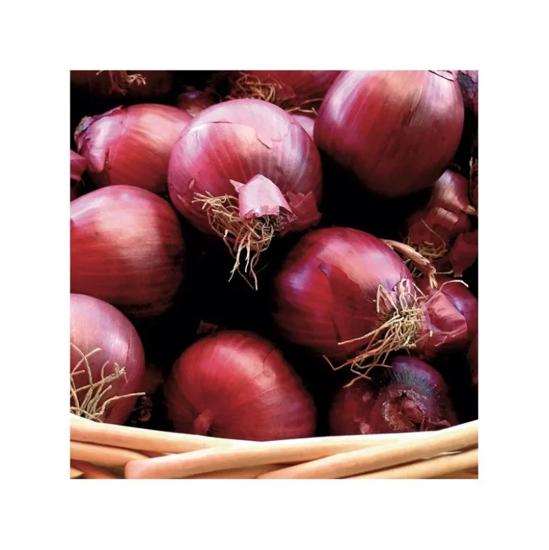 Oignon rouge "Red Baron" 1kg - Calibre 14/21