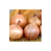 Oignon "Sturon" 1kg - Calibre 14/21