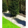 Paillage chanvre/lin 750 0.95x5m naturel - NORTENE