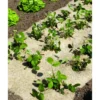 Paillage chanvre/lin 750 1.35x3m naturel - NORTENE