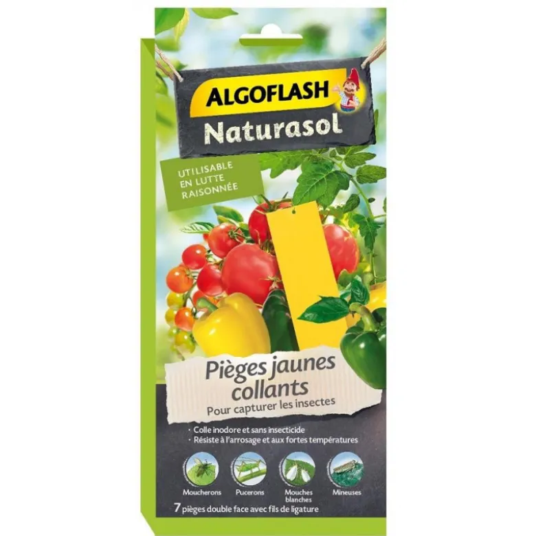 Pièges jaunes collants x7 - ALGOFLASH