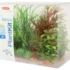 Plantkit jalaya nâ4 - ZOLUX